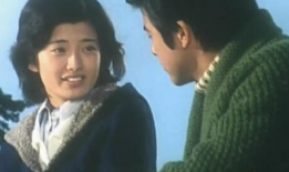 电视剧血疑,揭秘家族恩怨，探寻身世之谜