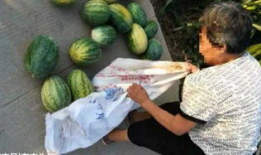 微山吃瓜最新事件爆料,最新爆料揭露惊人内幕